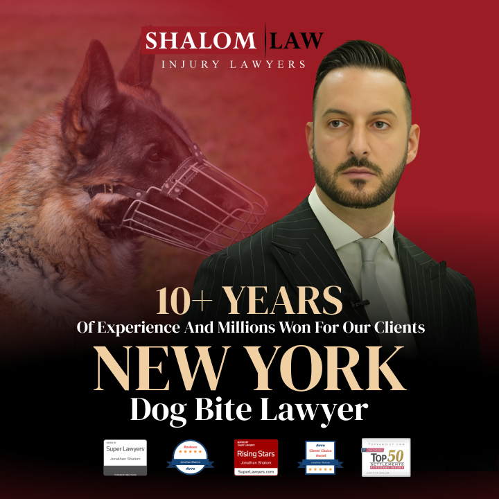 New York Dog Bite Lawyer New York Dog Bite Lawyer